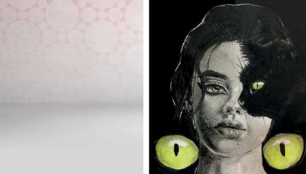 القط الأسود